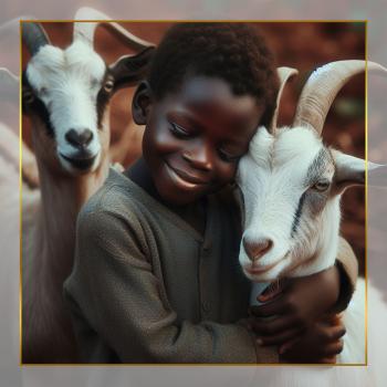 Adak (Nezir) – Afrika | Keçi-Koyun