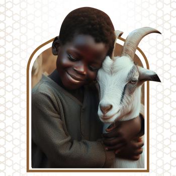 Akika Hayvanı | Küçükbaş