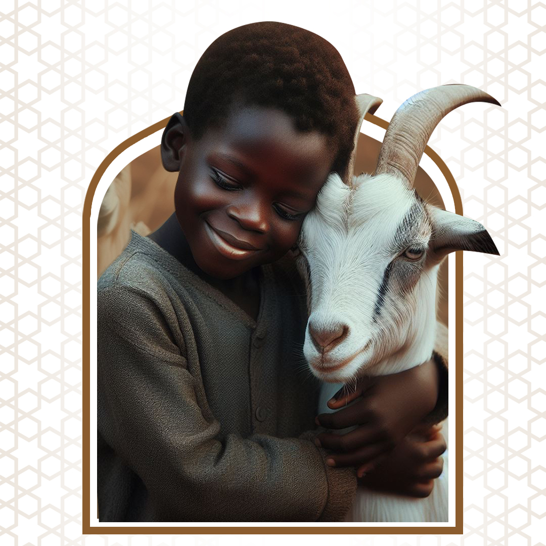  Şükür Hayvanı | Küçükbaş